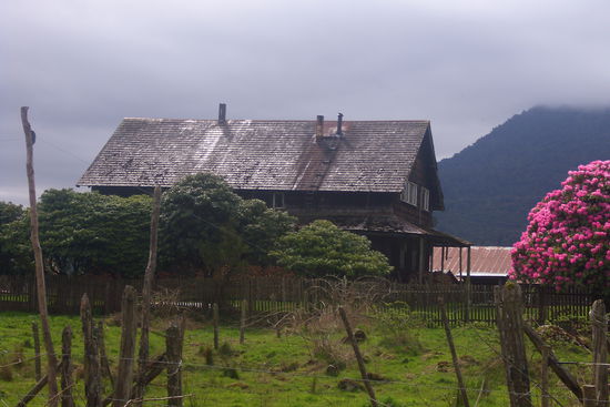 Eine Farm im ländlichen Chile mit einem wunderschön blühenden Rhodedendron.