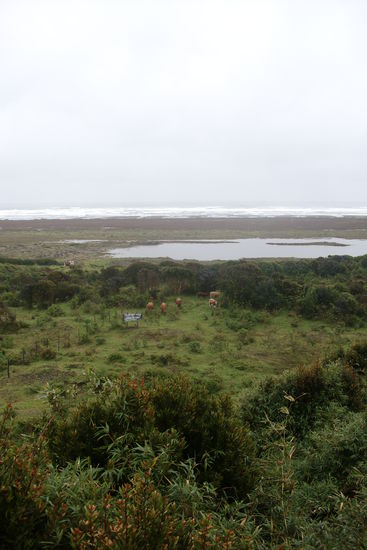 Das ist der Pazifik!