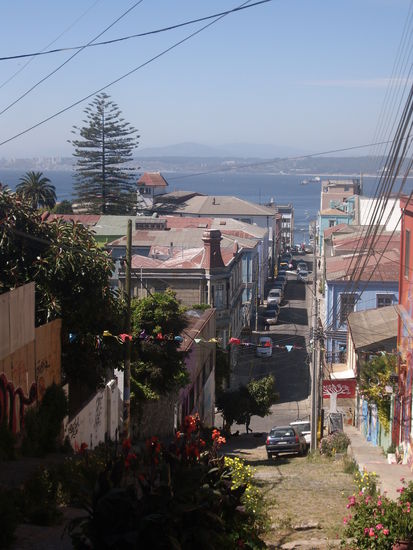 Das tannenbaumaehnliche Ding ist eine Araucane, ganz komischer Baum!