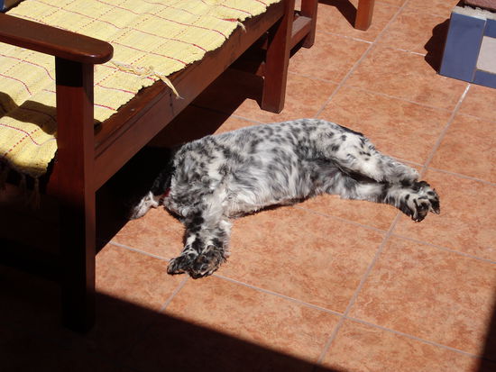 Immer schoen den Kopf im Schatten haben bei der Hitze