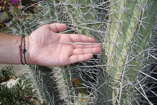 Jetzt zwei Darstellungen zum Thema...