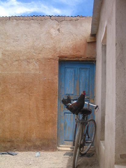 Statt Haehnchen gabs heute Lama zum Mittag