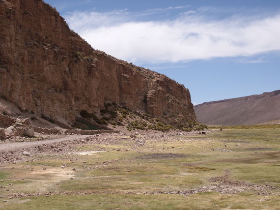 Fahrt durch ein fuer uns unglaublich gruenes Tal, links die Nachtgehege...