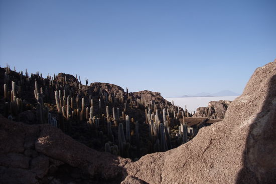 Auf der Isla Incahuasi