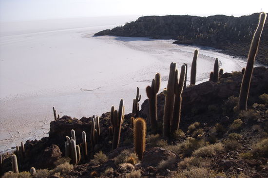 Hier kann man sich die Salzflaeche doch als See vorstellen