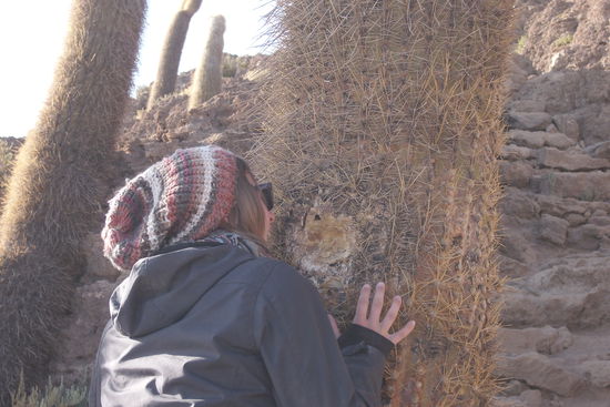 Rache am Mendoza-Kaktus