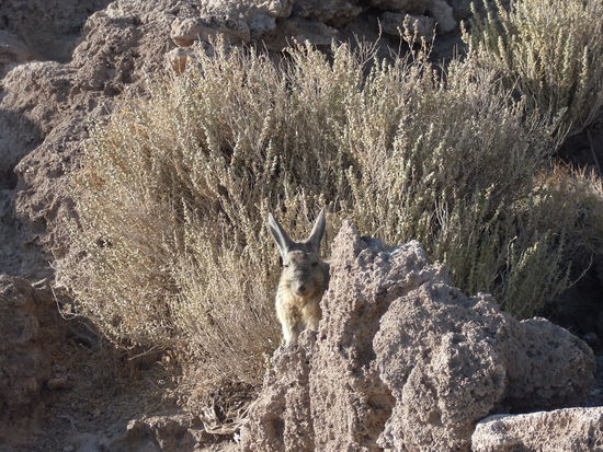 Schoener Ort zum Leben...