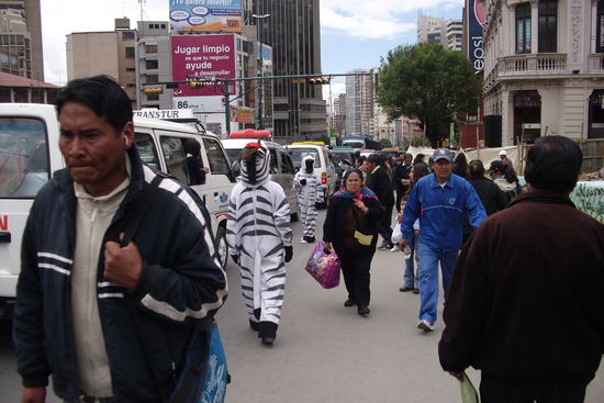 Zebras statt Zebrastreifen