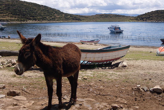 Am Strand von Cha´llapampa im Norden der Insel