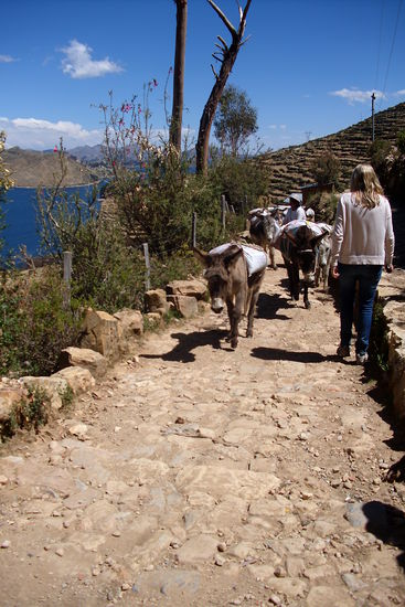 Eselkarawane kreuzt!