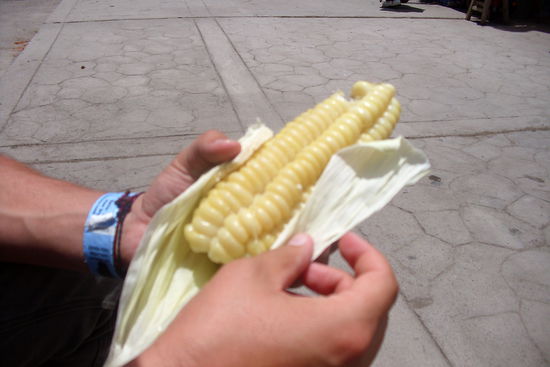 Irgendwie ist der Mais hier groesser als in Deutschland