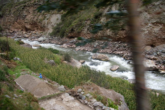 ...werden auch die Maisfelder schmaler.