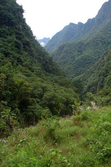 Je weiter wir ins Tal vordringen, desto gruener wirds...zum ersten Mal im Dschungel!