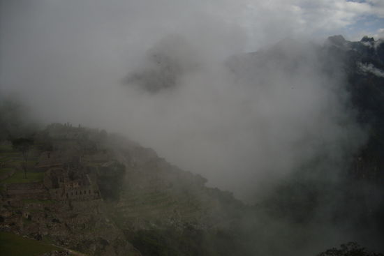 ...der sich aber zunehmend lichtet...