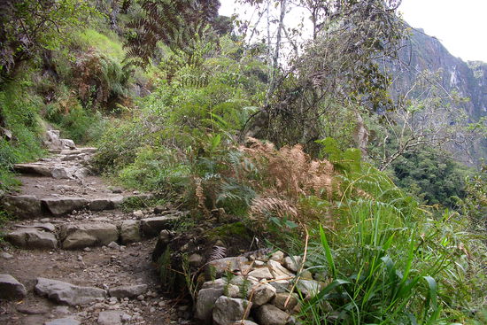 Der Fussweg zurueck nach Aguas Calientes - eine Stunde treppab