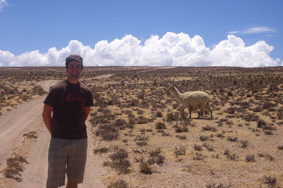 Ein Foto hats geschafft: Andi und das Alpaca.