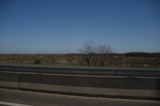 Irgendwo in der Pampa. Also, nicht in DER Pampa, aber landschaftlich ist es wahrscheinlich doch sehr aehnlich.