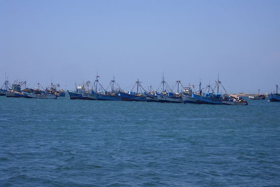 Die Fischer sind schon zurueck