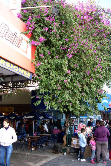 Eine der wuseligen Einkaufsstraßen (hier am Morgen ueberaus ruhig)