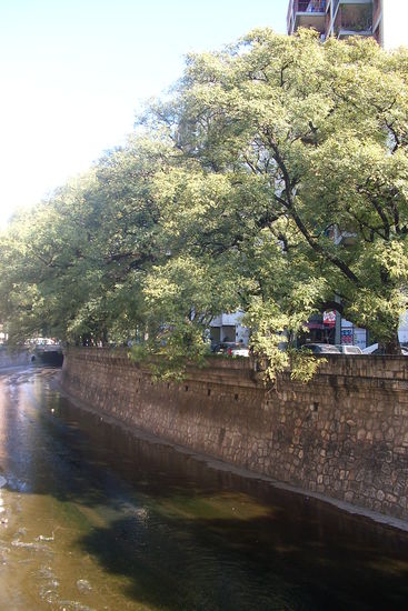 ...und ein Blick in die Cañada