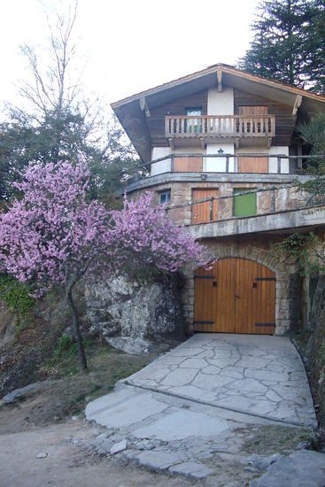Als Deutscher fühlt man sich schon etwas heimisch, aber was noch wichtiger ist...der Frühling steht vor der Tür (im wahrsten Sinne des Wortes).