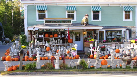 Die Kürbisse sollten uns in den nächsten zwei Wochen auf Schritt und Tritt begleiten.