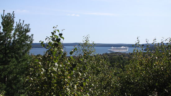 Achtung: Kreuzfahrer in Sicht. 50 Busse warten, um den Passagieren den Nationalpark zu zeigen.
