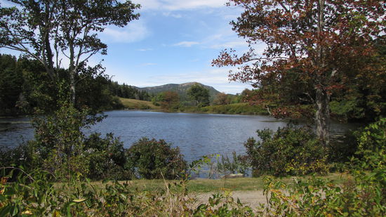 Erste Zeichen des Indian Summer.