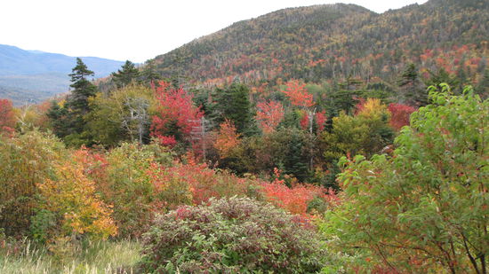 Diese Färbung lässt den z. T. bedeckten Himmel vergessen.
