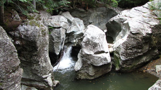 Anhalten und wenige Minuten in den Wald gehen lohnt sich in vielen Fällen.