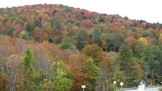 Die Farbenpracht kann man auf den Fotos nicht in vollem Umfang wiedergeben.