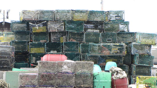 In diesen Körben werden sich in Kürze die Hummer befinden.