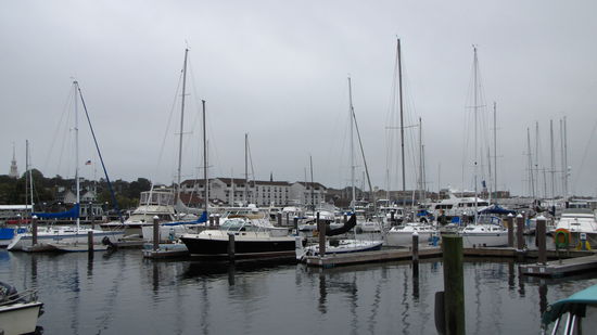 Eine kleine Auswahl der Segelyachten.