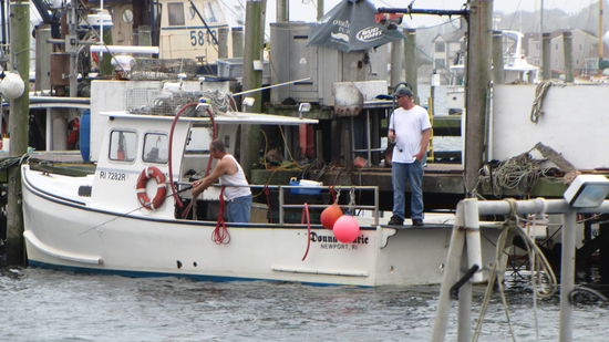 Vorbereitung auf den Hummerfang.