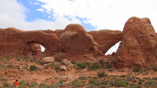 North Window und South Window in der Windows-Section.