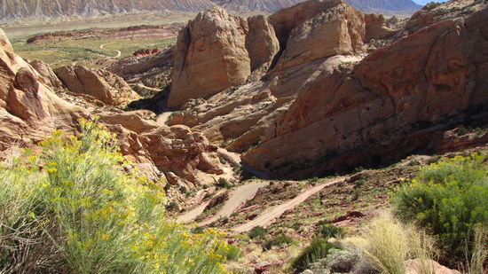 Hoffentlich kommt kein Gegenverkehr!