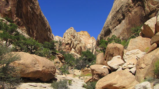 Der Weg führt durch Felsen und Geröll. Die Wegmarkierungen sind aber - wenn auch manchmal erst nach einigem Suchen - zu erkennen.