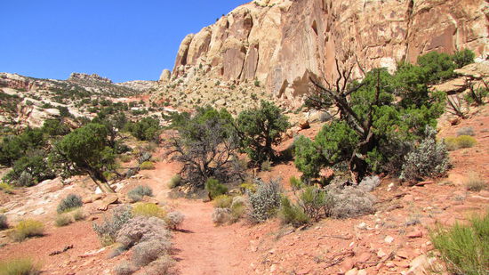 Der Weg ist das Ziel.