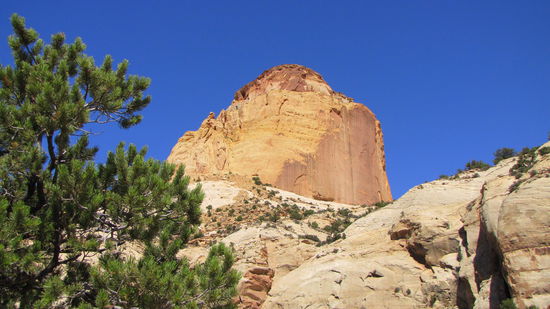 Am Ziel angekommen erkennt man, warum der Felsen "Golden Throne" heisst.