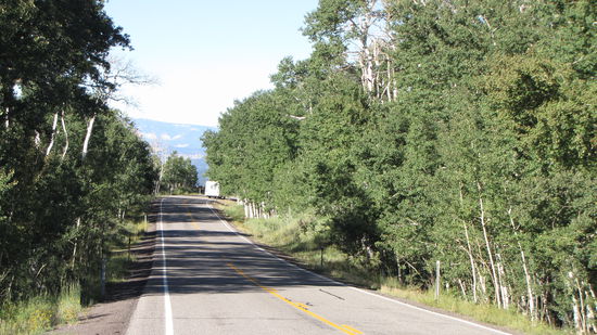 In 2400 m Höhe noch dichte Wälder.