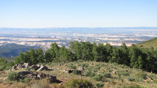 Trotz 3000 m Höhe gibt es noch eine Vegetation - ähnlich wie im Rocky Mountains NP.