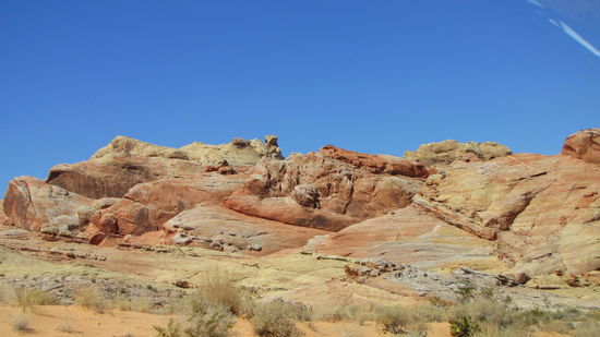 Es gibt vereinzelt auch andere Farben.