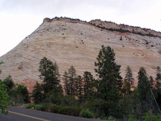 Man ist immer wieder von der Landschaft im Zion NP fasziniert, was zu zahlreichen Fotostopps führt.