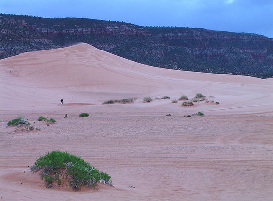 Im Coral Pink Sand Dunes SP erlebt man Sanddünen, ohne dass Meer oder Wüste in der Nähe sind.