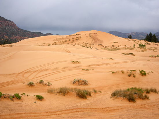 Die Spuren der Motocross-Räder und der Quads sind nicht zu übersehen.