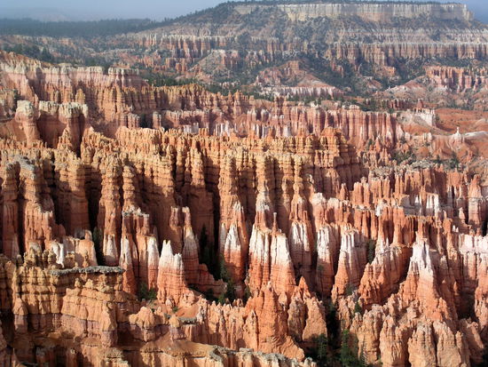 Der Bryce Canyon NP erstreckt sich bis in eine Höhe von 3000 m.