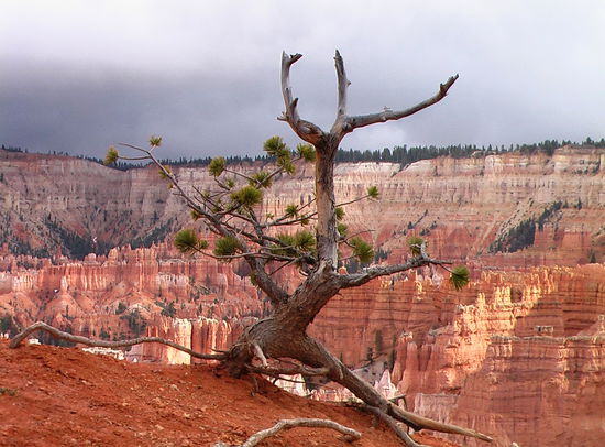 Kälte und Schneeregen verhindern eine Wanderung in den Canyon.