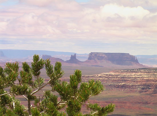 Blick vom Muley Point auf Monument Valley.