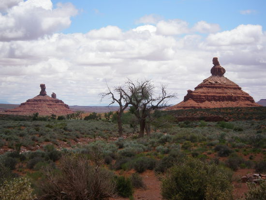 Das hat doch etwas, oder?