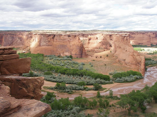 Blühende Landschaften tief im Canyon de Chelly.